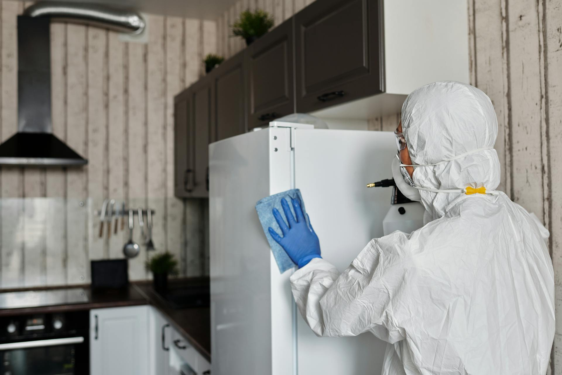 Cleaning and Pest Control